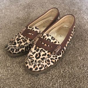 Cheetah Sperrys